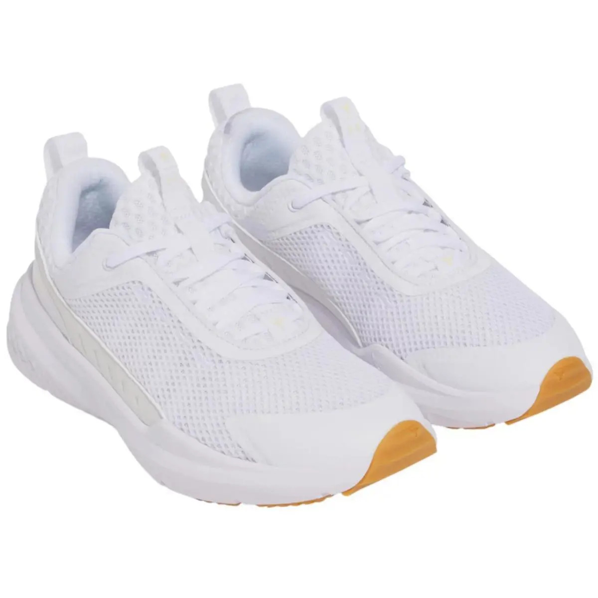 Under Armour shoes - Under Armour Project Rock BSR - White, Manufacturer: White/Stone 0
