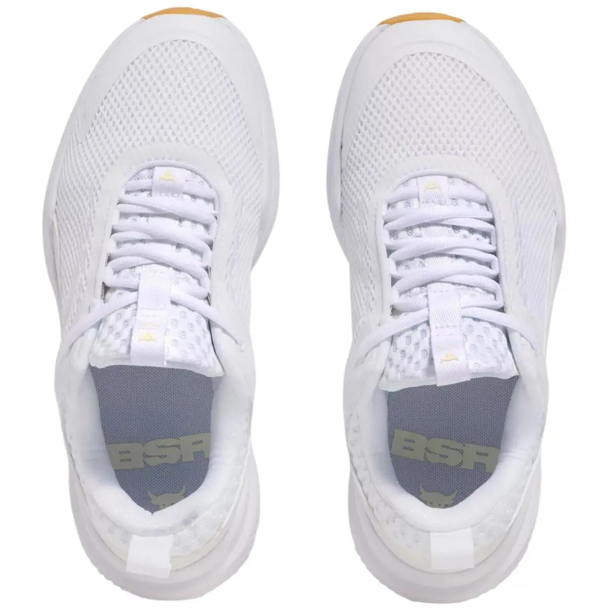 Under Armour shoes - Under Armour Project Rock BSR - White, Manufacturer: White/Stone 2
