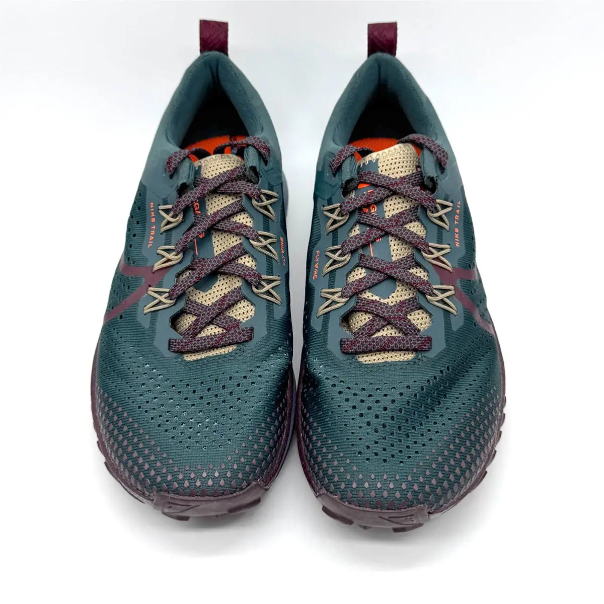 Nike shoes - Nike Pegasus Trail 4 - Pegasus Trail - DJ6159-301 - Multicolor (UPC: 196969178819) 0