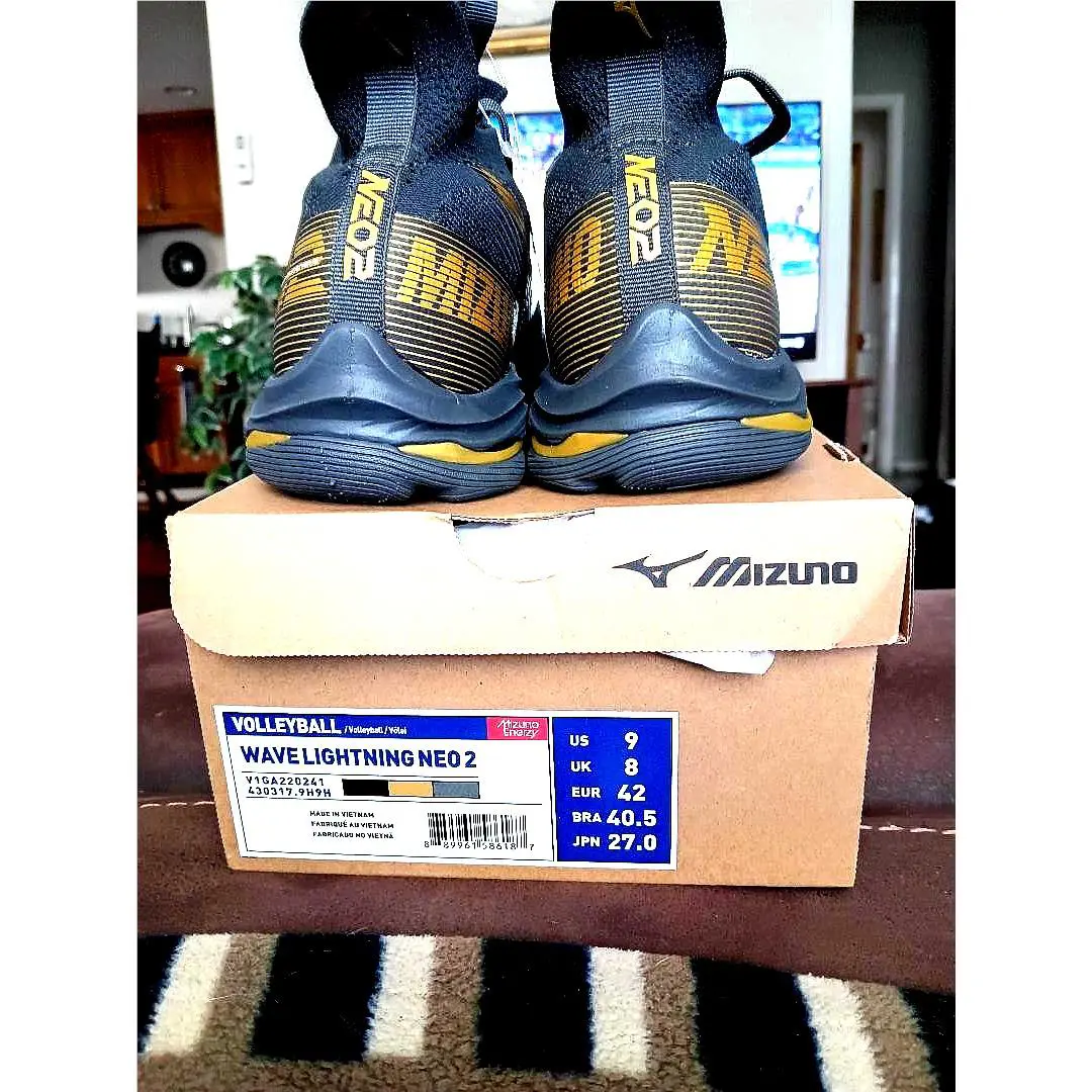 Mizuno shoes - Blue 1