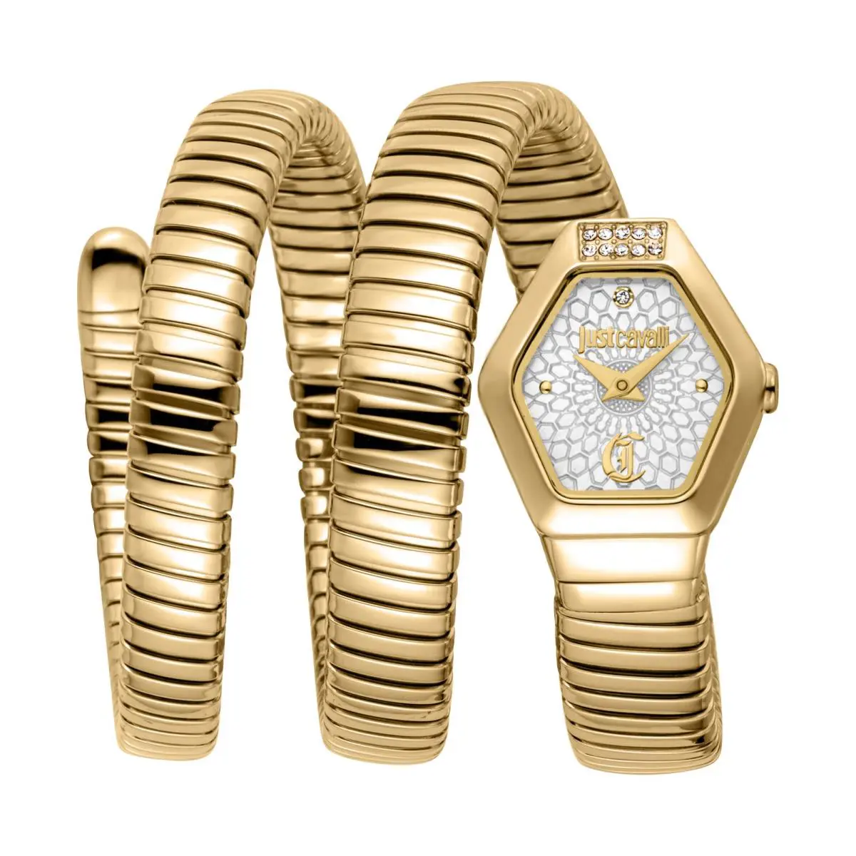 Just Cavalli Women`s Snake 22.5mm Quartz Watch JC1L395M0025