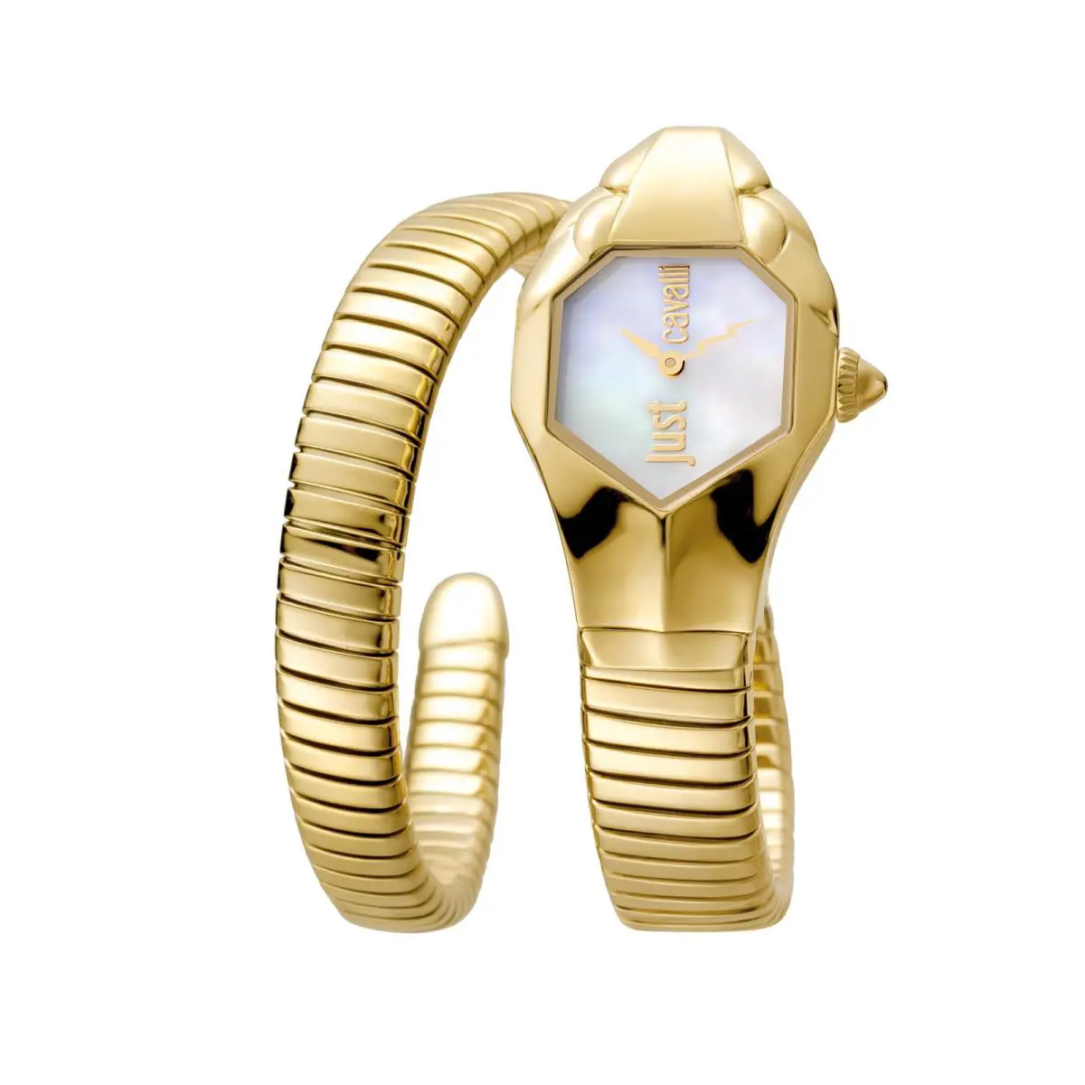 Just Cavalli Women`s Snake 22mm Quartz Watch JC1L001M0025