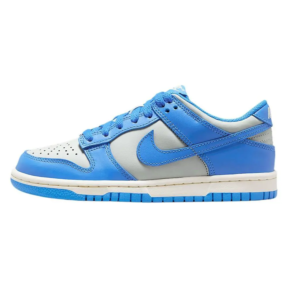 Big Kid`s Nike Dunk Low Light Silver/lt Photo Blue FB9109 004 - Light Silver/LT Photo Blue