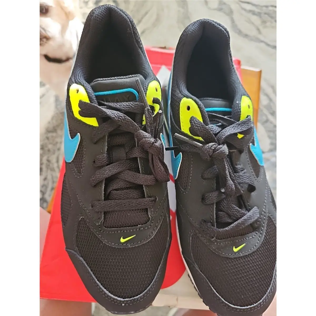 Nike shoes - Nike Air Max Ivo - Air Max Ivo - Black 1