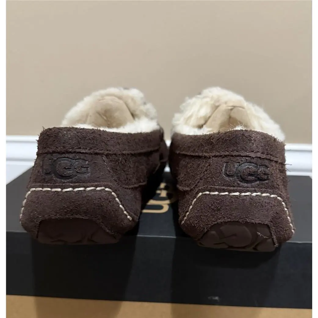 UGG shoes - UGG Tasman - Tasman - Brown 2