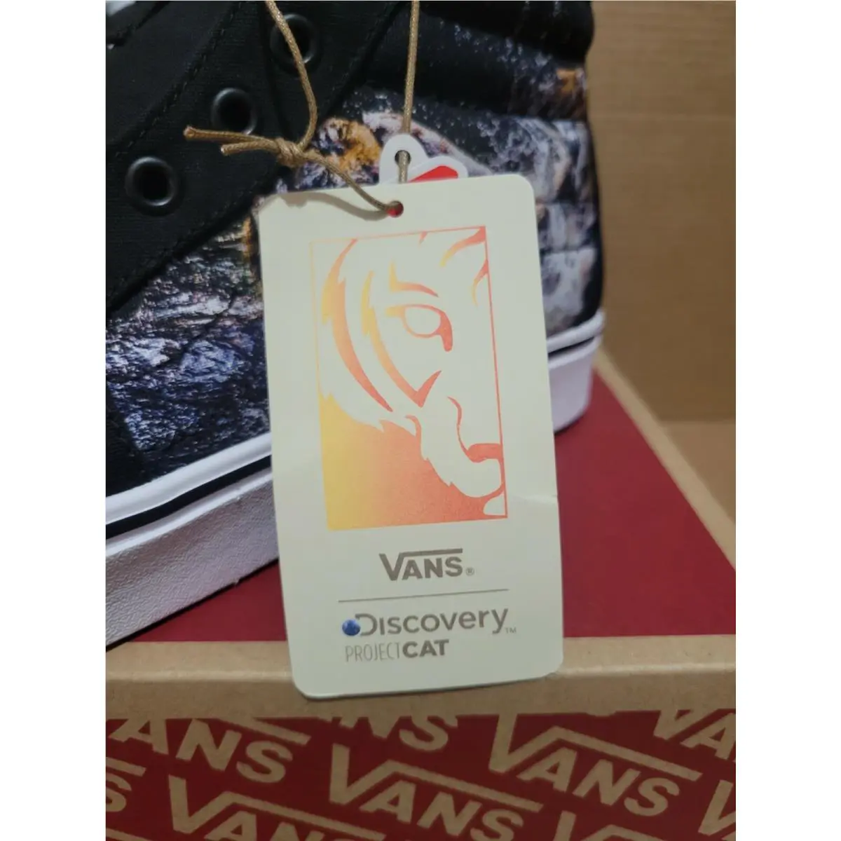 Vans shoes - Comfycush SK8-Hi - Comfycush - Black (Discovery) Project Cat/Playing Tigers 7
