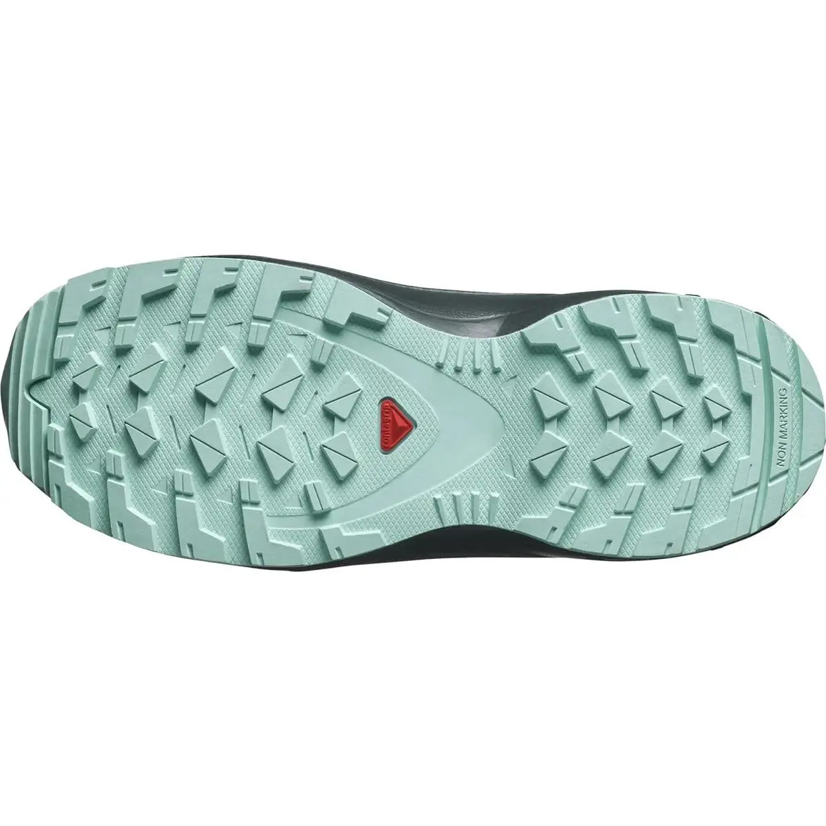 Salomon shoes - Salomon XA Pro - Pro - Blue 4