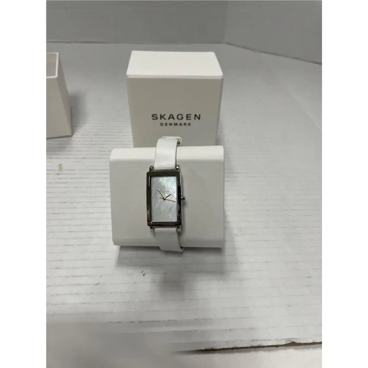 Skagen Ladies Watch See Desc