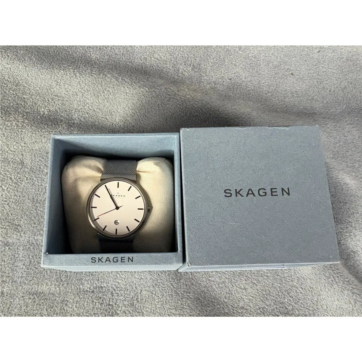 Skagen Men`s Mesh Band Stainless Steel Watch