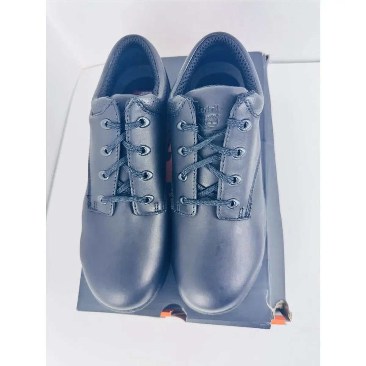 Timberland shoes - Pro Titan - Pro Titan - Black (UPC: 0829032280088) 0