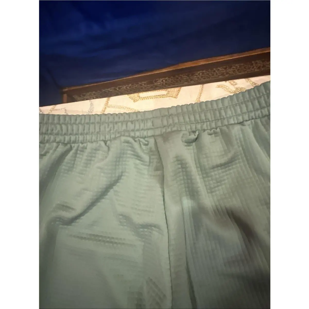 Puma clothing - Puma PD Porshe Design Pant - 623855-06 - Eucalyptus (UPC: 0196859775043) 18