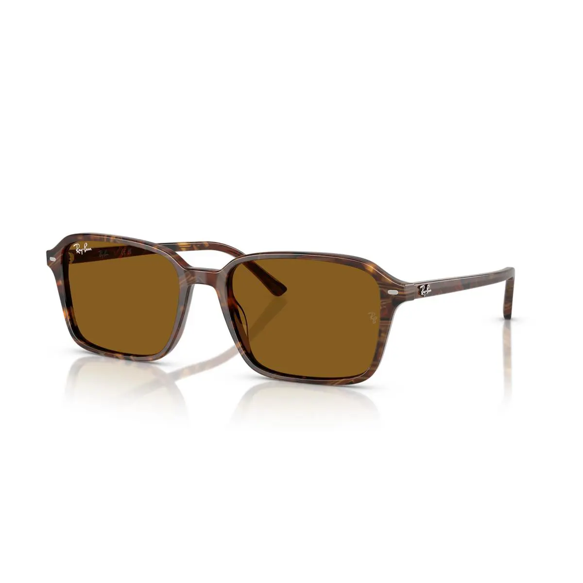 Ray-ban Raimond Transparent Fantasy Brown/B-15 Brown 58 mm Sunglasses RB2231 - Frame: Polished Transparent Fantasy Brown, Lens: Brown