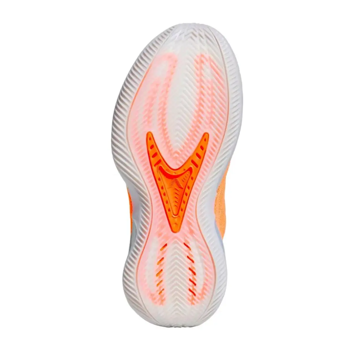 Adidas shoes - Anthony Edwards 2 - Anthony Edwards - Multicolor 1