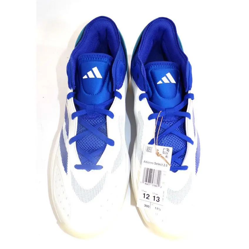 Adidas shoes 1