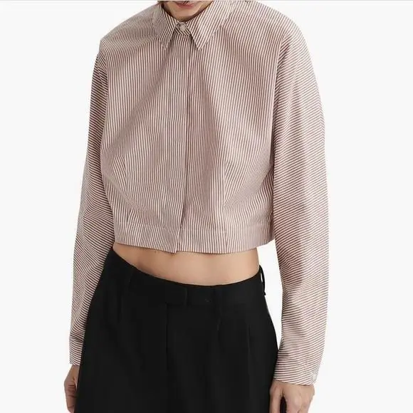 Rag Bone Morgan Stripe Crop Cotton Shirt Blouse Jacket Brown Stripe XS
