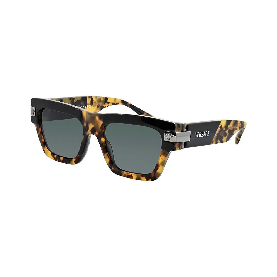 Versace Men`s Ve4464 52Mm Sunglasses Men`s Brown