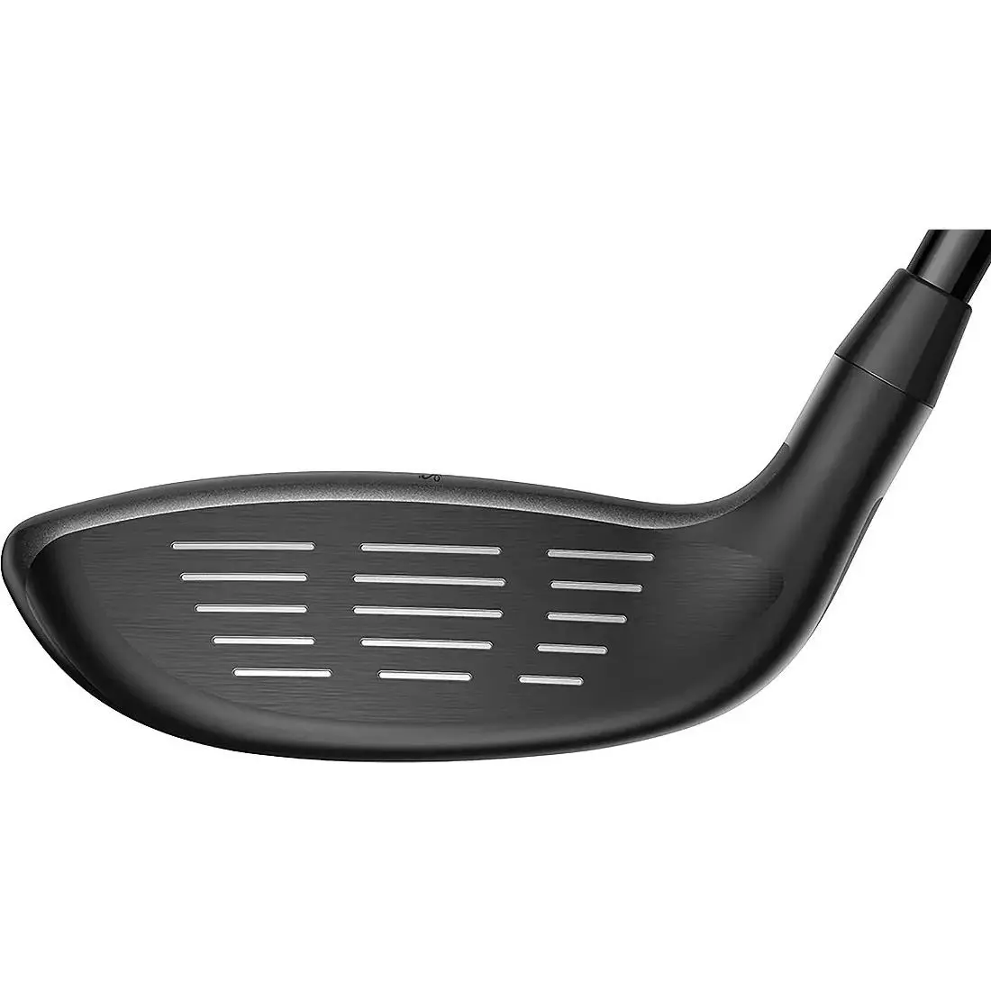 Cobra  - Black, Blue 3