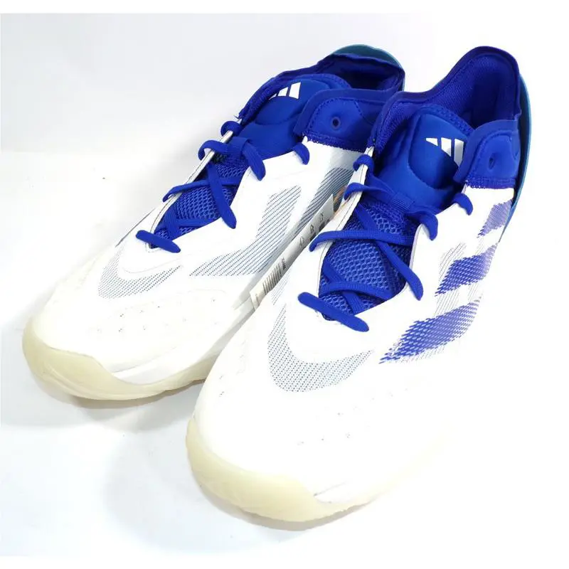 Adidas shoes 1