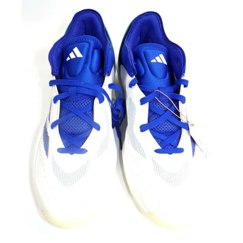 Adidas shoes 1