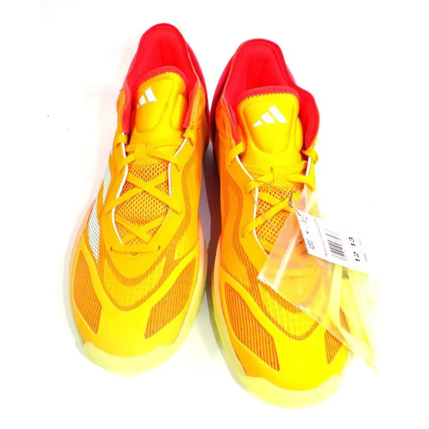 Adidas shoes 1