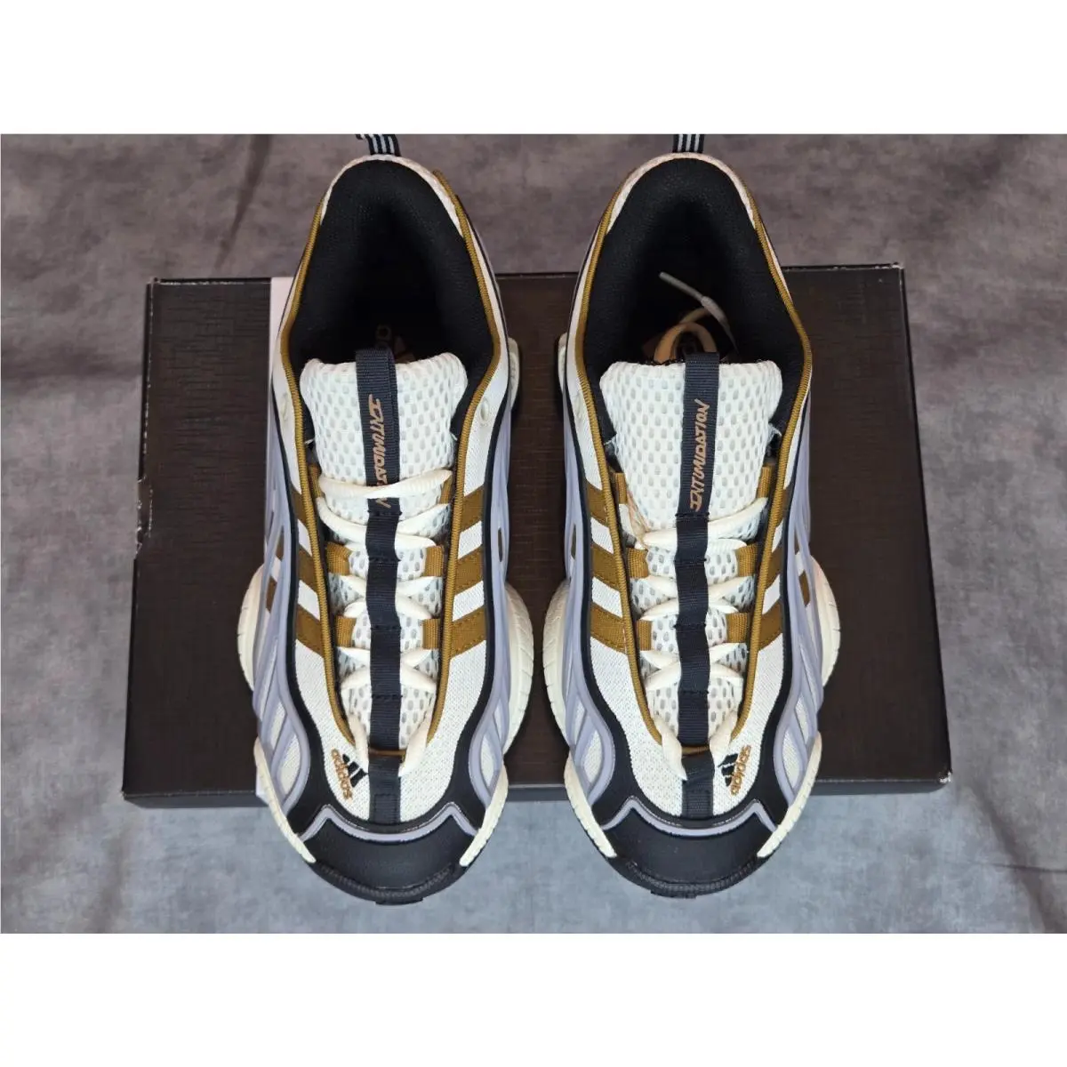 Adidas shoes - adidas Intimidation - Intimidation - JR8218 - Ivory 0