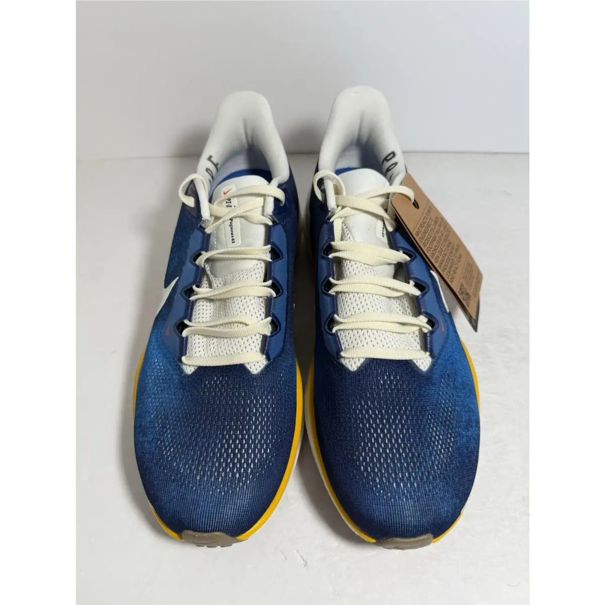 Nike shoes - Nike Air Zoom Pegasus 41 - IB7723-492 - Blue 1
