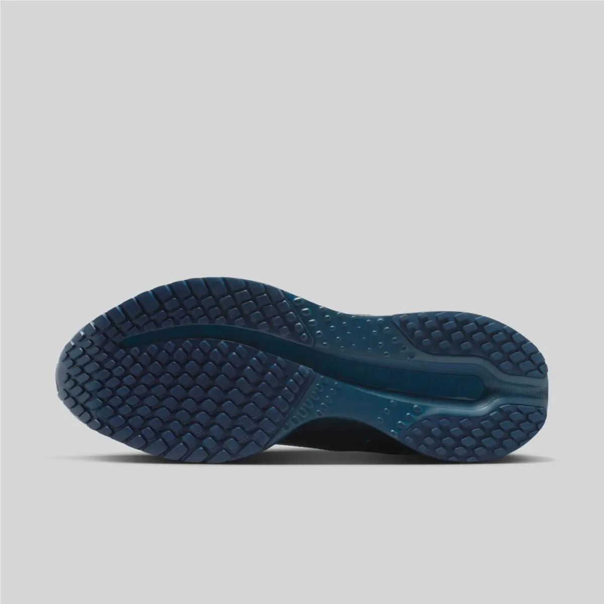 Nike shoes - Nike Pegasus - Pegasus - IM7384-499 - Blue 1