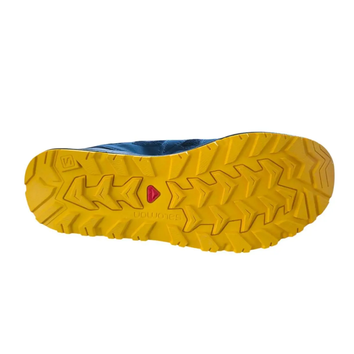Salomon shoes - Blackstonia - Blackstonia - Blue 8