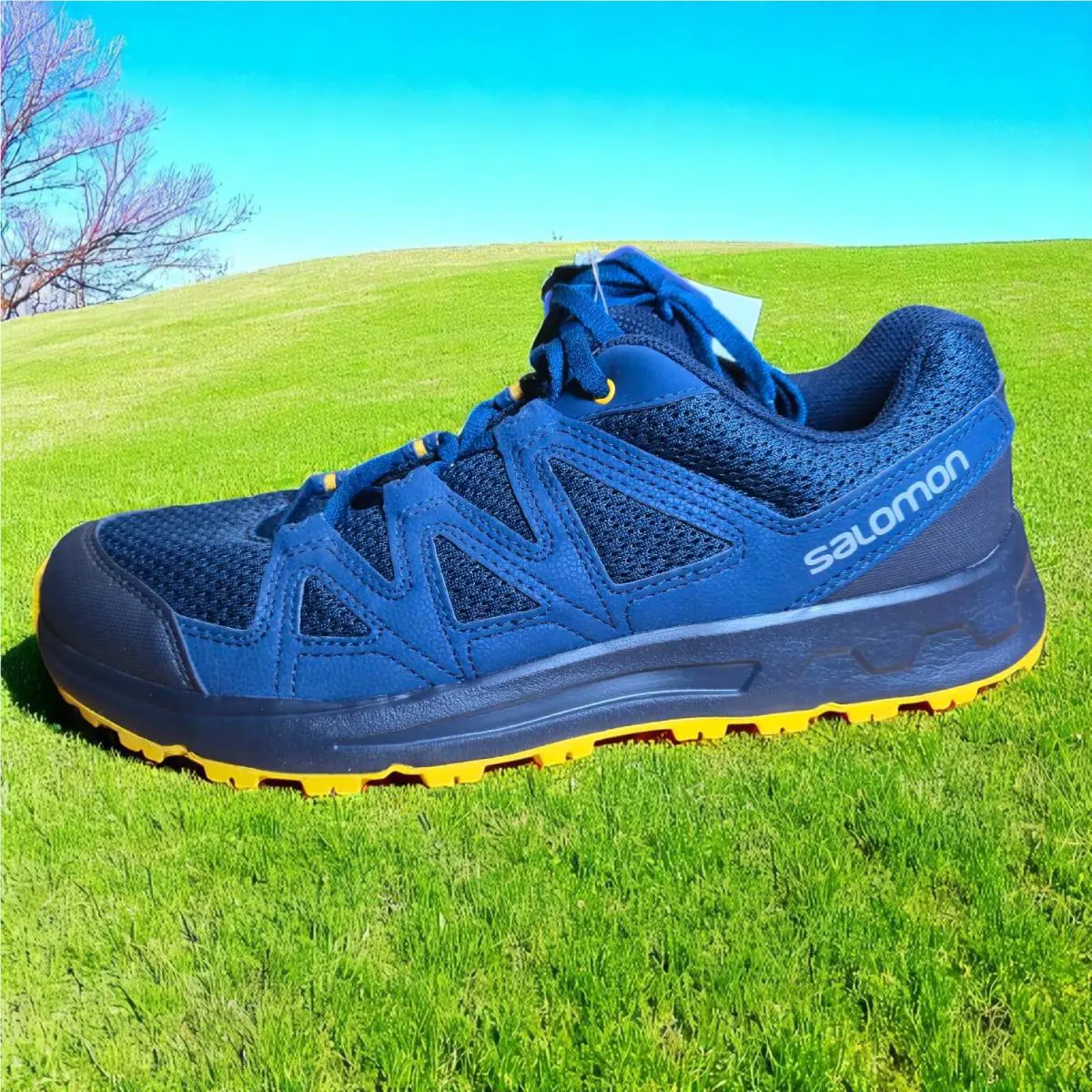 Salomon shoes - Blackstonia - Blackstonia - Blue 0