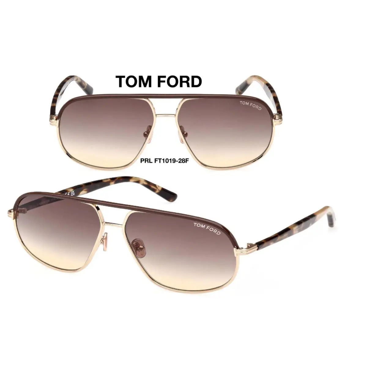 Tom Ford TF1019 28F Maxwell Sunglasses FT1019 28F