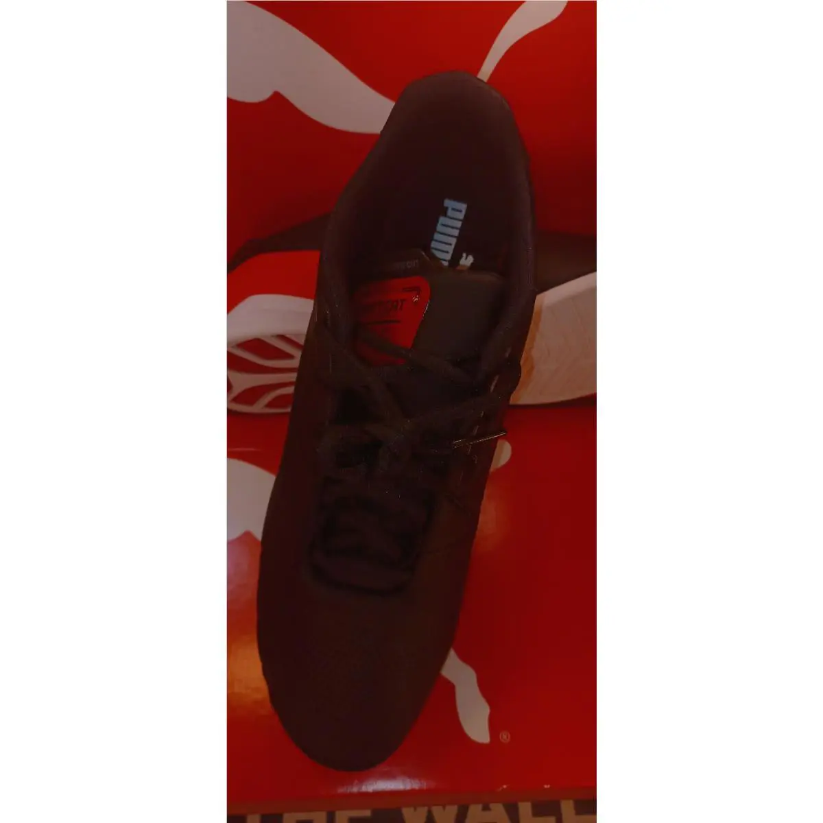 Puma shoes - Drift Cat 8 - Drift Cat - 306818-01 - Black 2