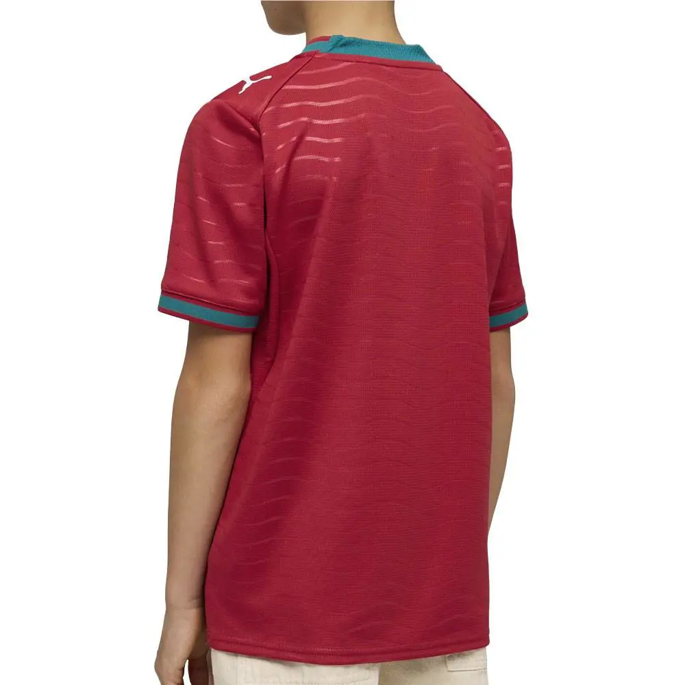 Puma clothing - PUMA Fpf Home Crew Neck Long Sleeve Replica Jersey Youth - 78328101 - Red 9