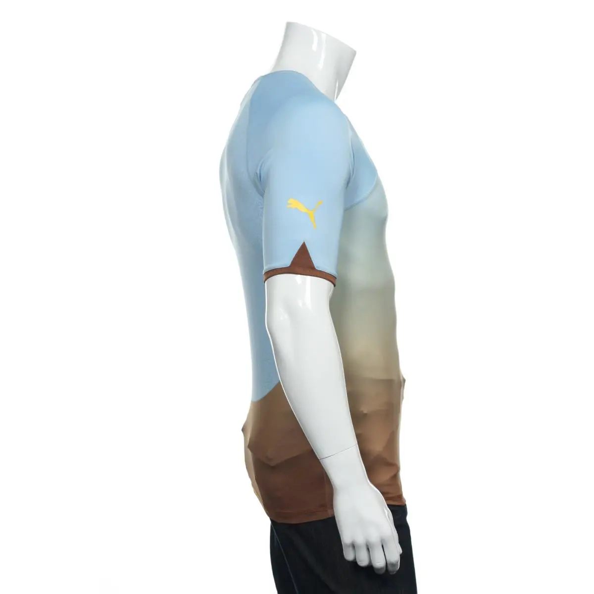 Puma clothing - Africa Unity Jersey - Africa Unity Jersey - 737474 01 TN6705 - Blue (UPC: 884629648214) 6