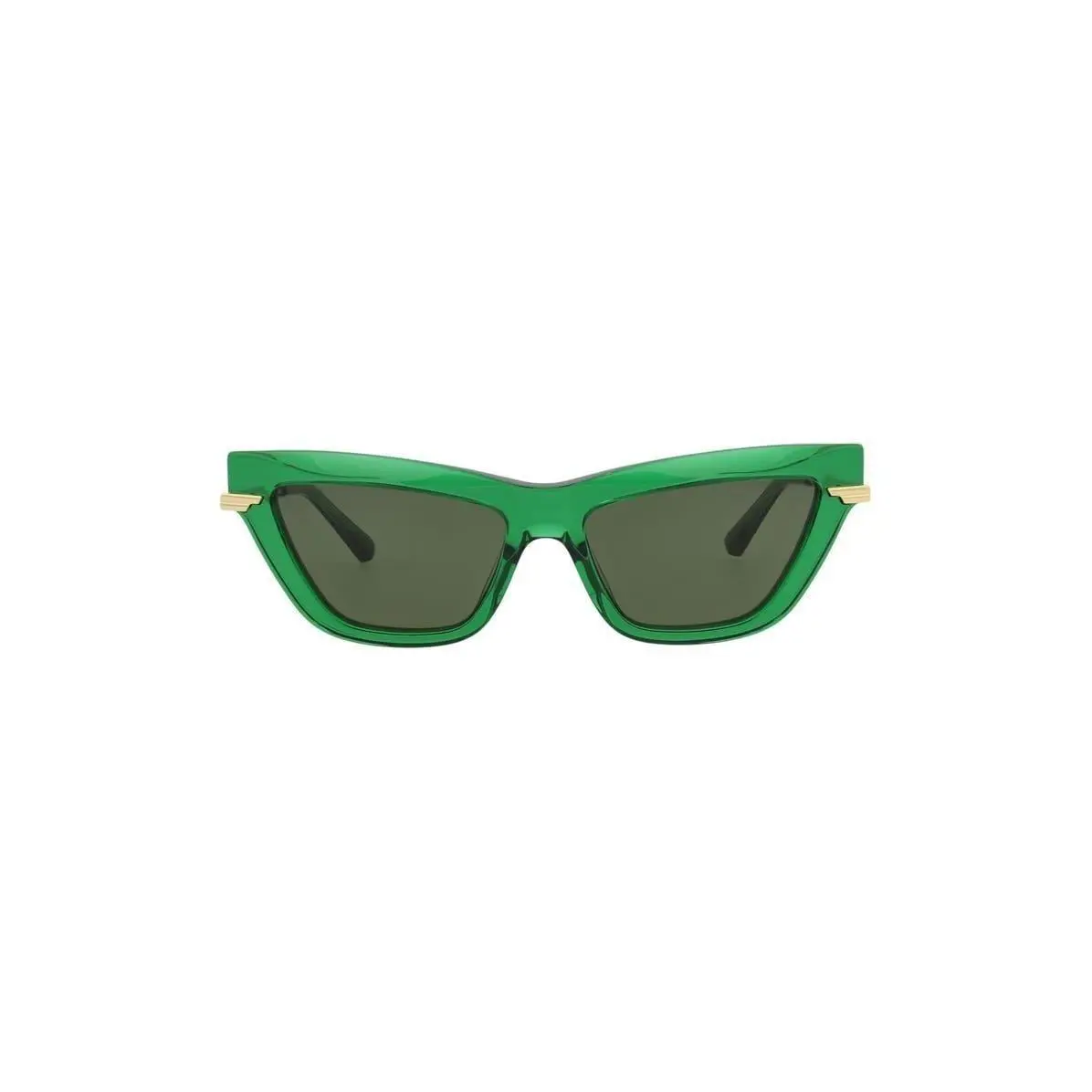 Bottega Veneta Women 54mm Cat Eye Sunglasses Green Gold Green