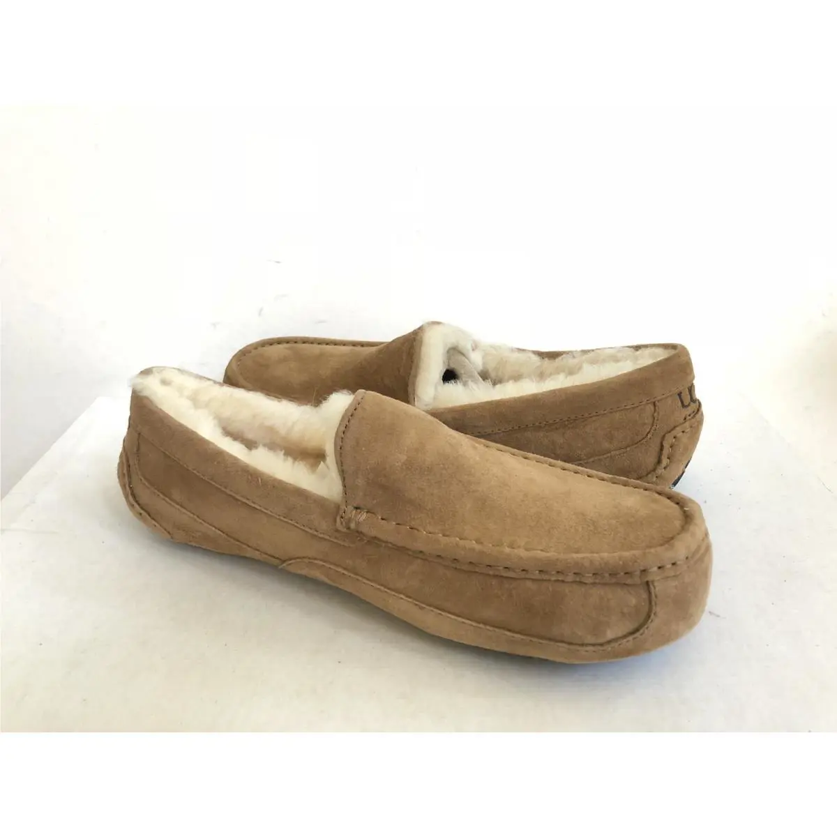 UGG shoes - UGG ASCOT - ASCOT - CHESTNUT, Main: CHESTNUT 0