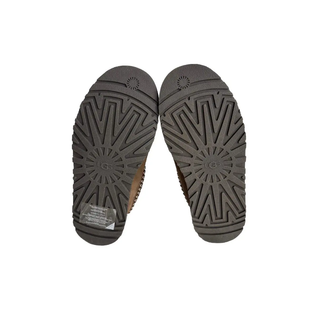 UGG shoes - UGG TAZZ - TAZZ - HICKORY 3