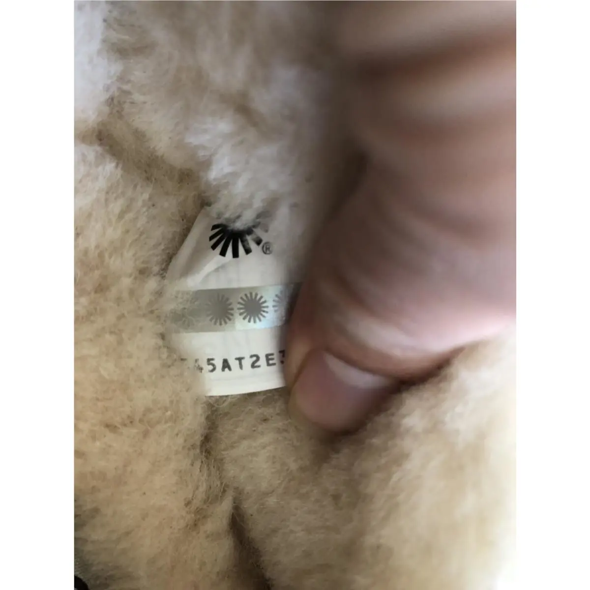 UGG shoes - UGG ASCOT - ASCOT - Moss Green 4