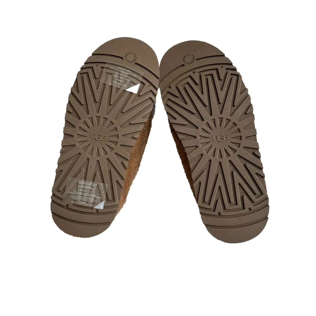 UGG shoes - UGG TAZZ - TAZZ - CHESTNUT 3