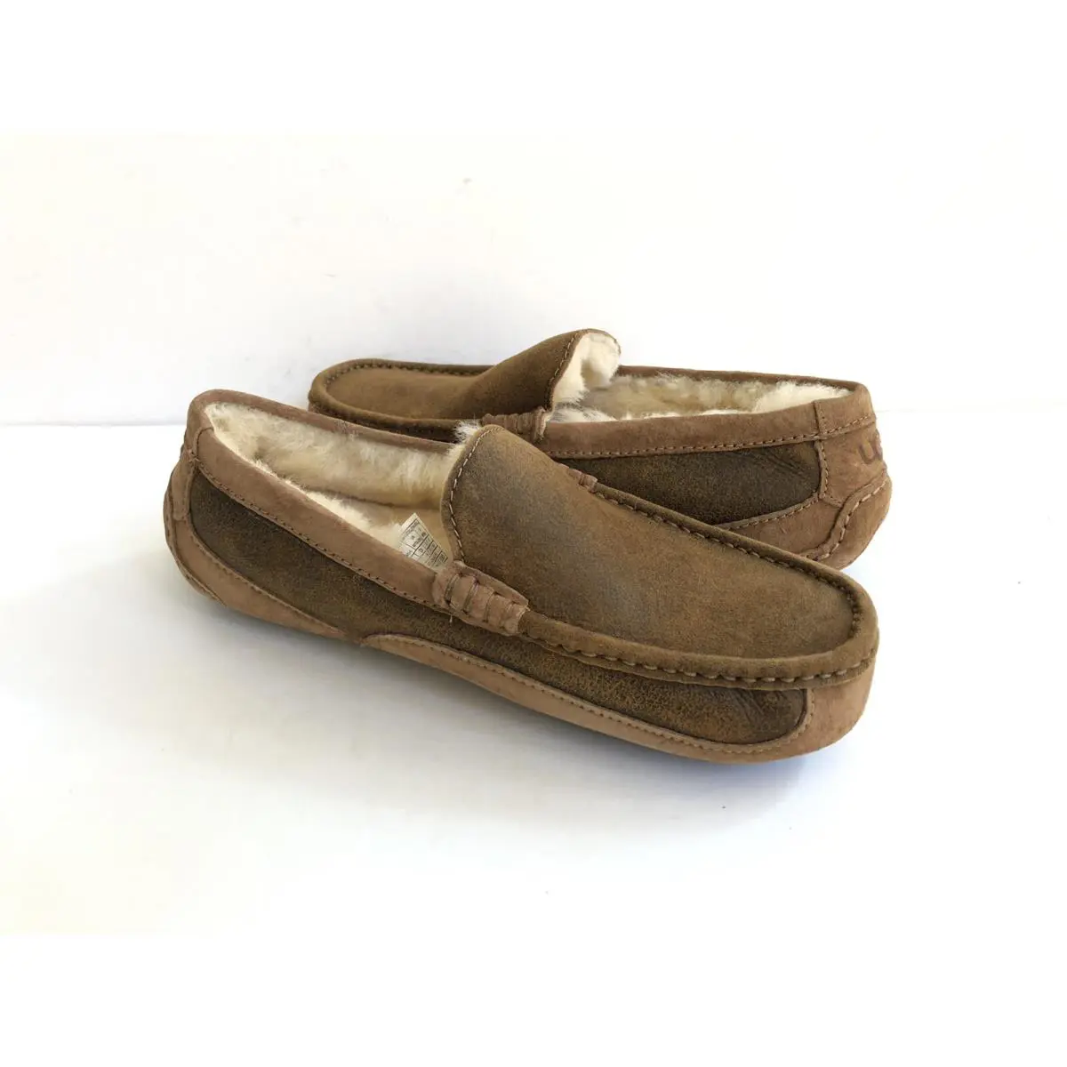 UGG shoes - UGG ASCOT BOMBER - ASCOT BOMBER - BOMBER CHESTNUT 0