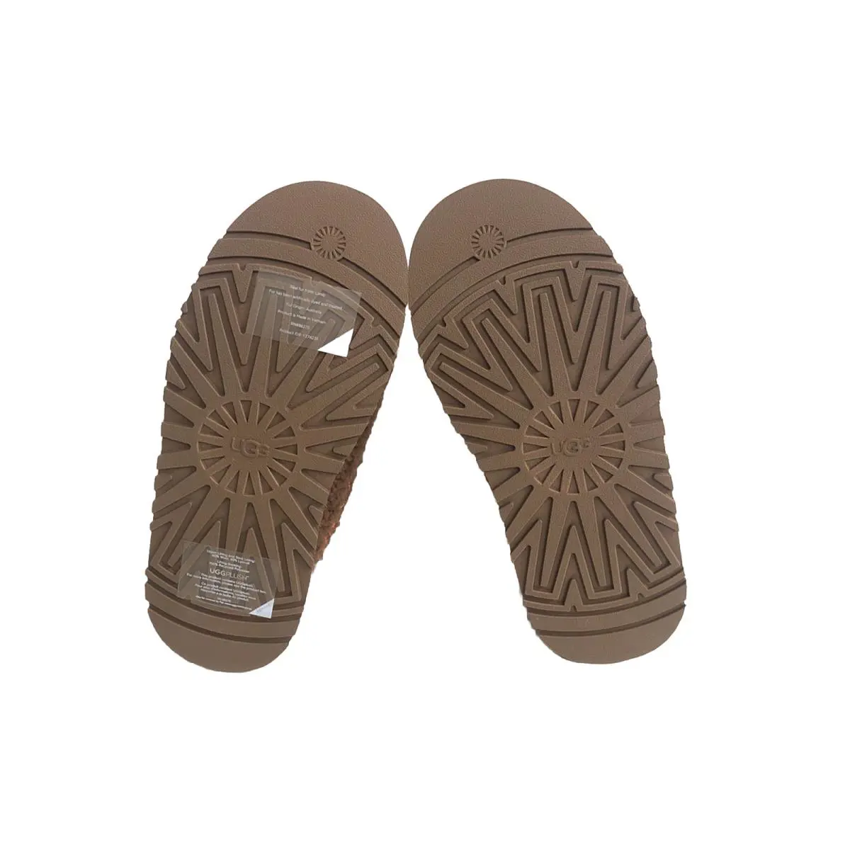 UGG shoes - UGG TAZZ - TAZZ - HARDWOOD 3