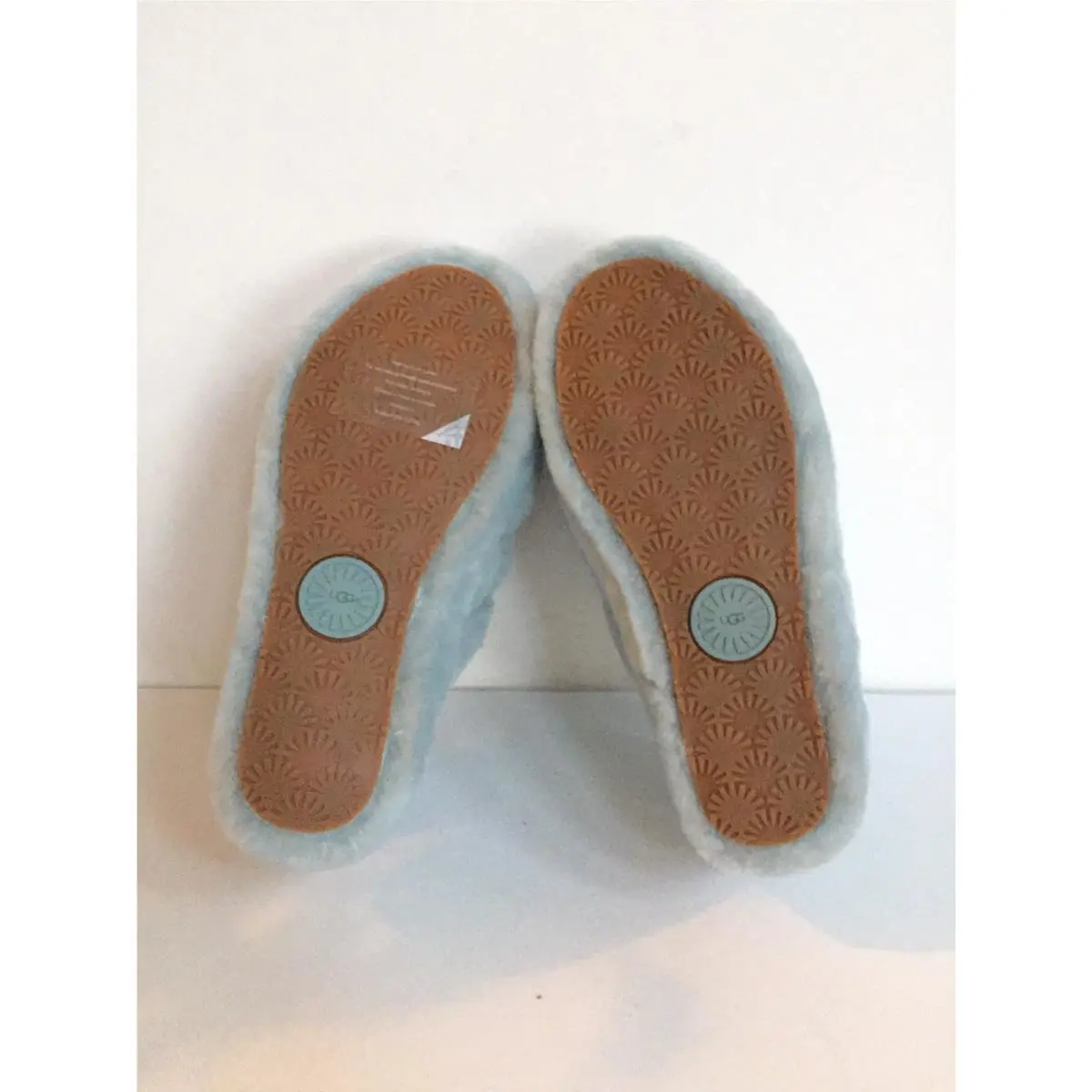 UGG shoes - SUCCULENT 3