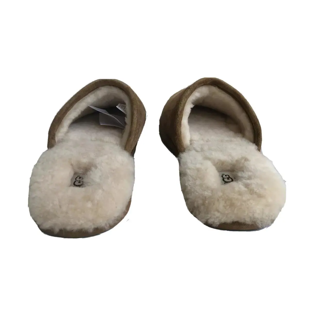UGG shoes - CHESTNUT 2