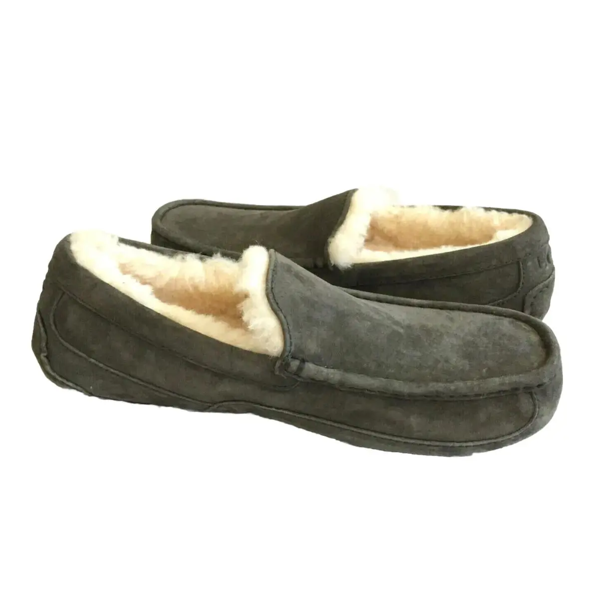 UGG shoes - UGG ASCOT - ASCOT - CHARCOAL 0