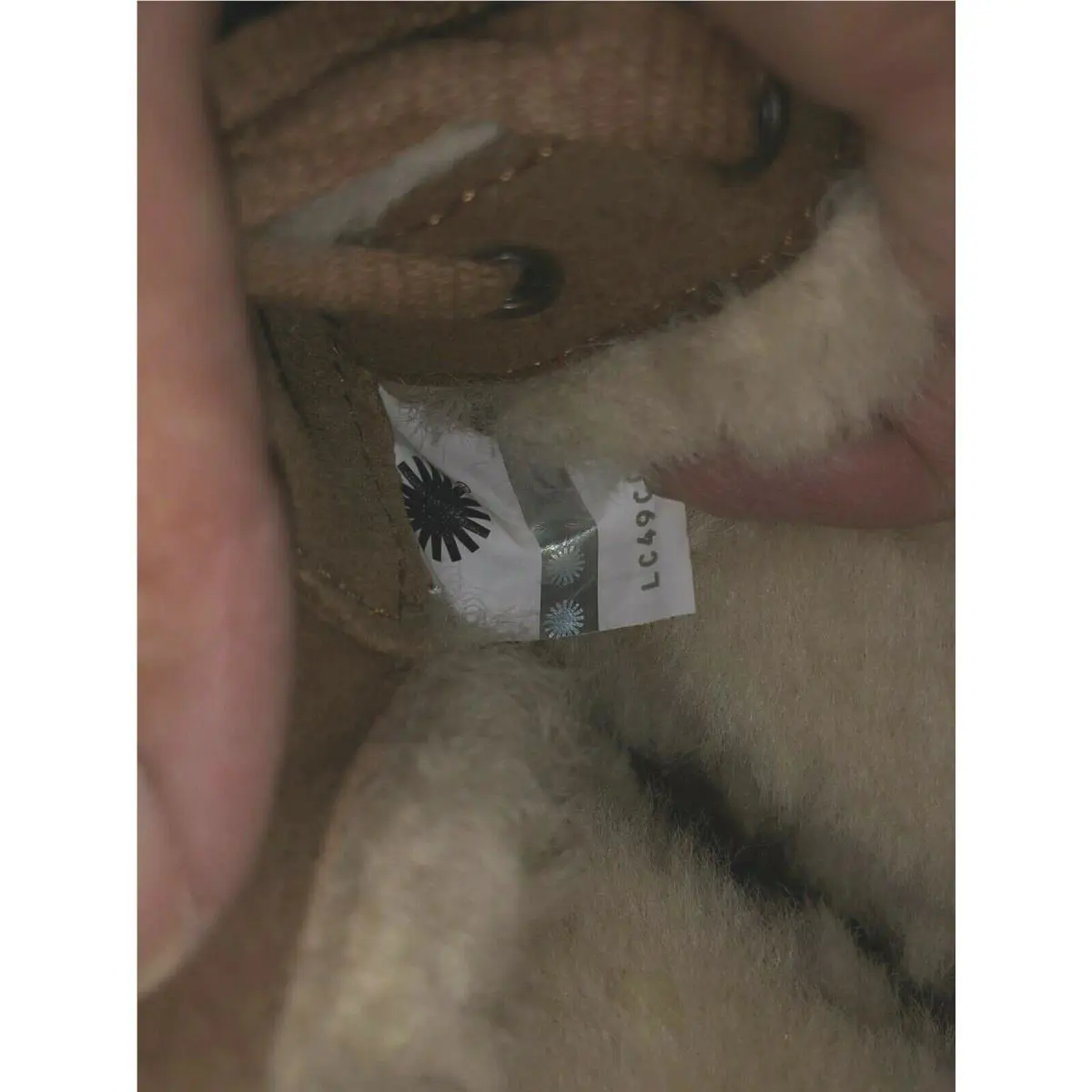 UGG shoes - CHESTNUT 5