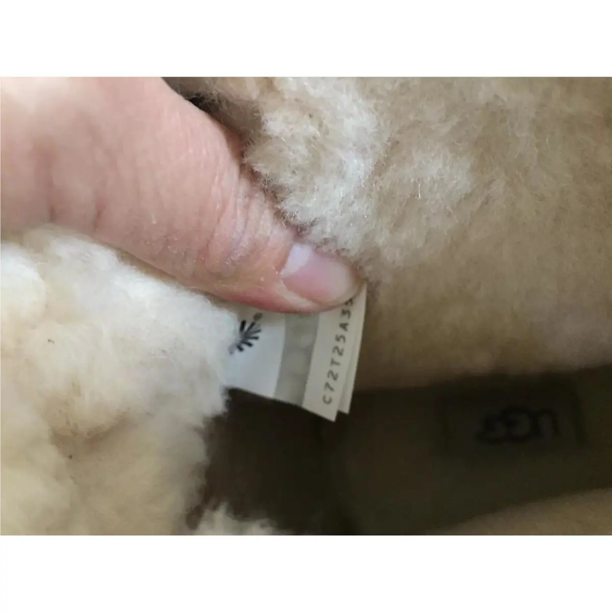 UGG shoes - DESERT TAN 4