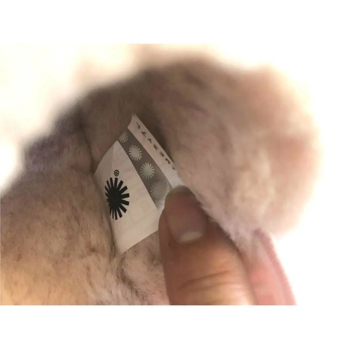 UGG shoes - UGG FLUFF YEAH - FLUFF YEAH - QUARTZ 4
