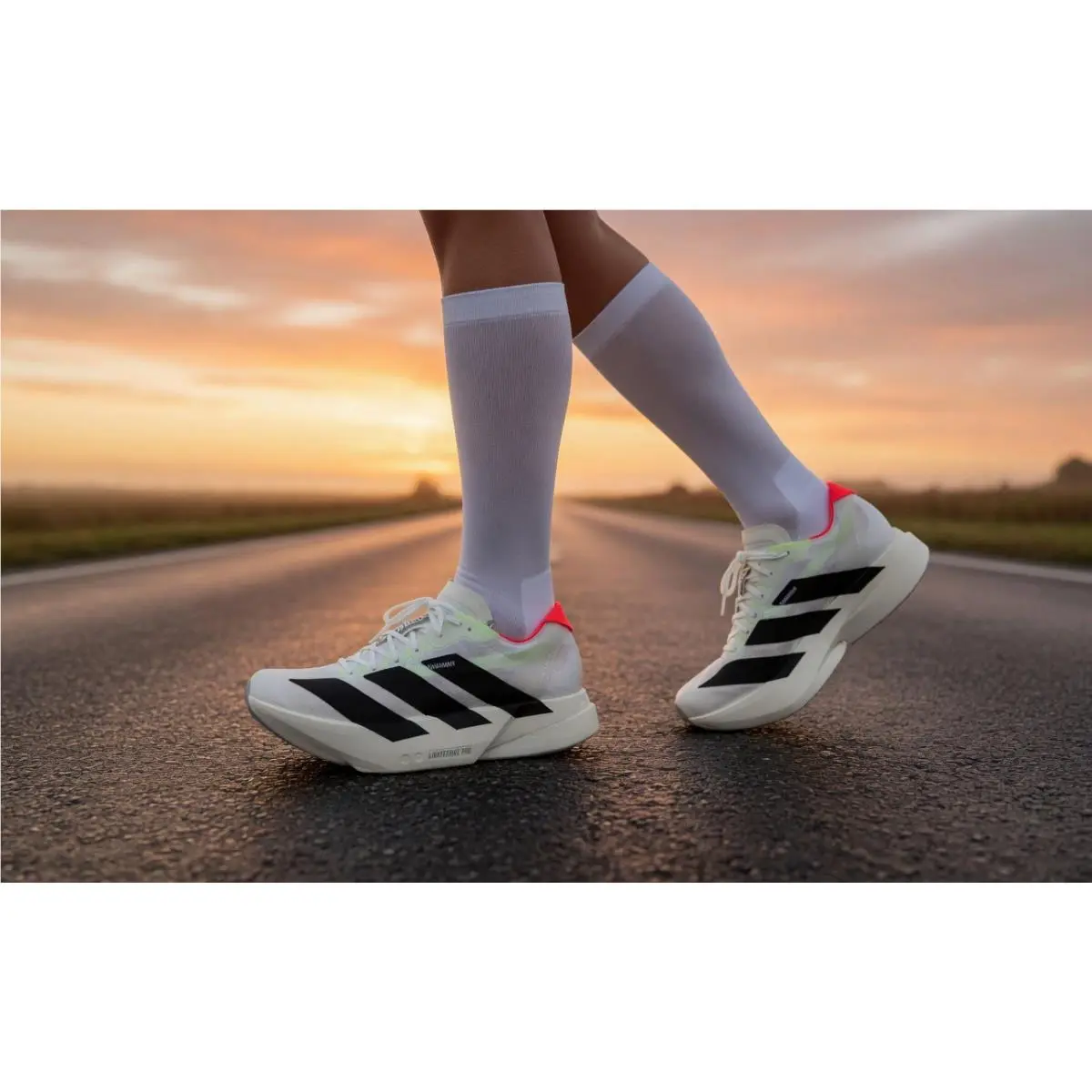 Adidas shoes - adidas adizero Adios - adizero Adios - JR1163 - White 10
