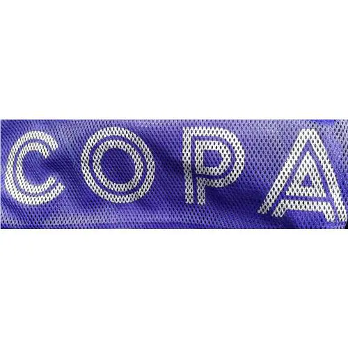 Adidas shoes - Copa Sense+ FG - Copa - GW4937 - Purple 7