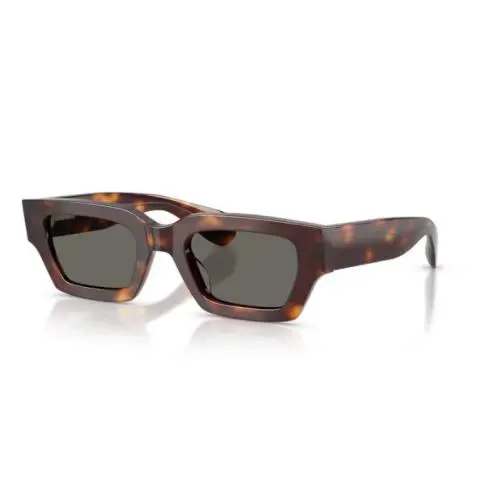0OV5612SU Edition 6 1007P2 Mahogany/carbon Grey Men`s Sunglasses by Oliver Peoples