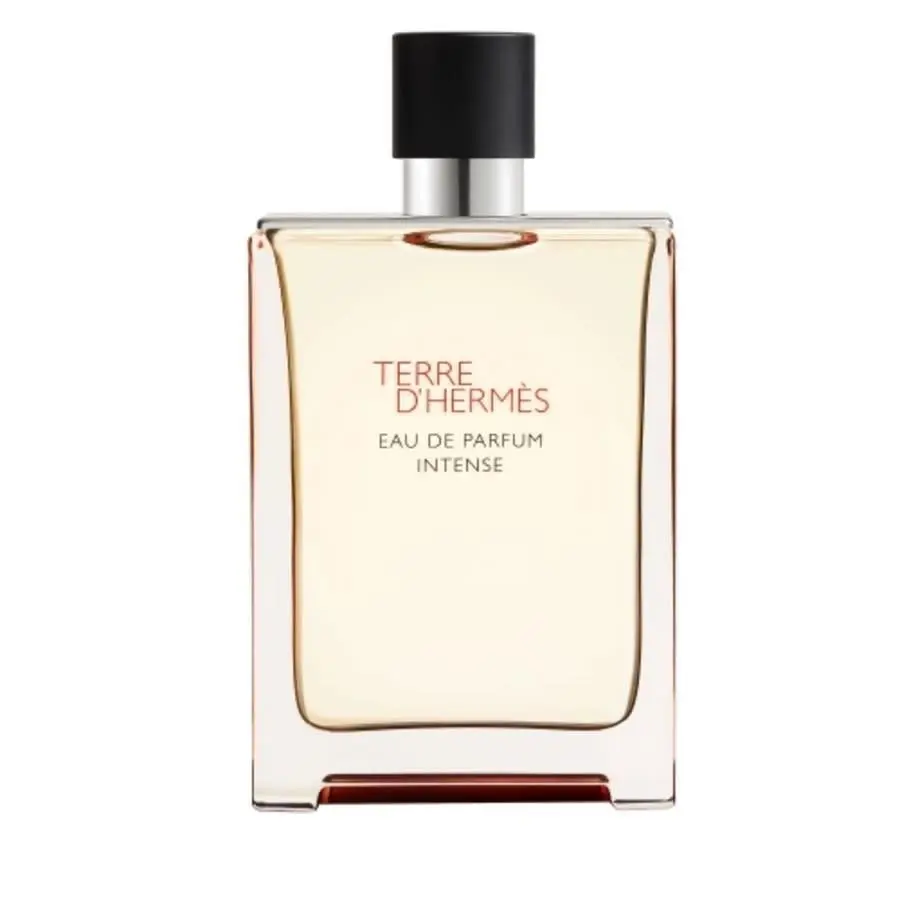 Hermes Men`s Terre D`hermes Intense Edp Spray 6.0 oz Fragrances 3346130020080